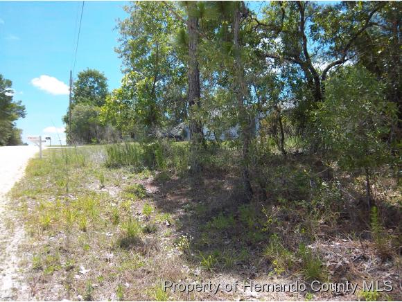 0 GALLINULE AVE, Weeki Wachee, FL 34613