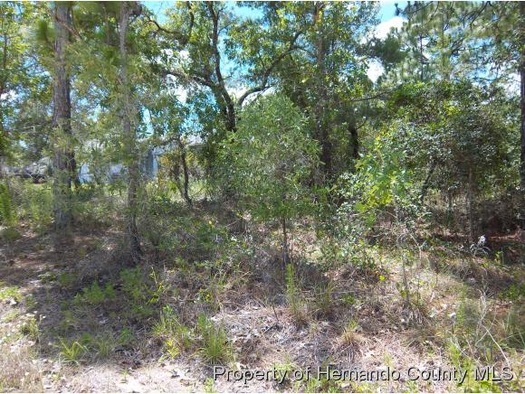0 GALLINULE AVE, Weeki Wachee, FL 34613