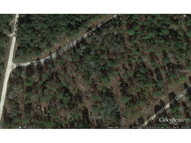 0 RICEBIRD AVENUE, Weeki Wachee, FL 34613