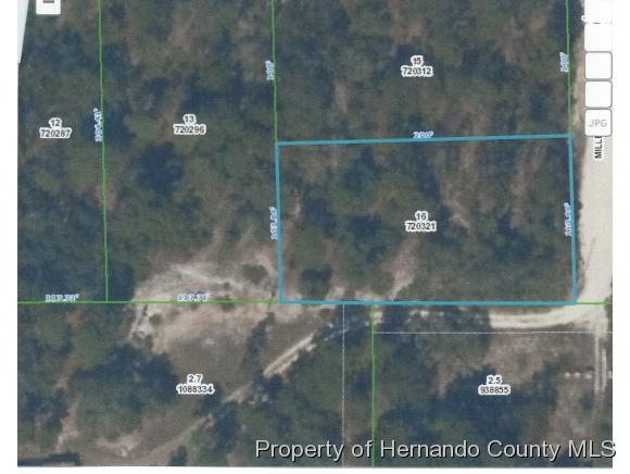 Weeki Wachee, FL 34613