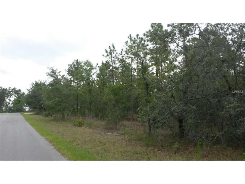 9124 MAZETTE ROAD, Weeki Wachee, FL 34613