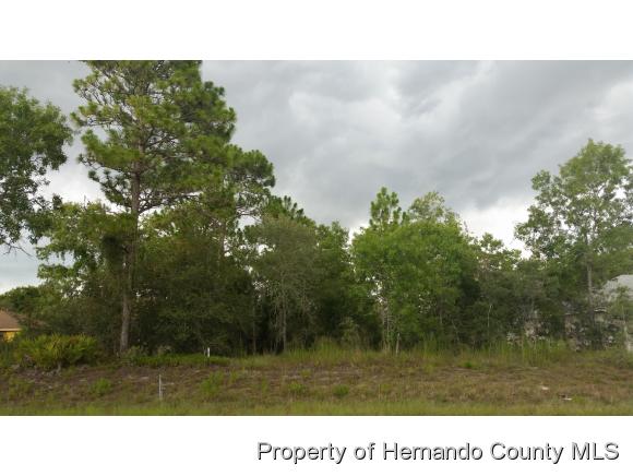 0 NIGHTWALKER RD, Brooksville, FL 34613