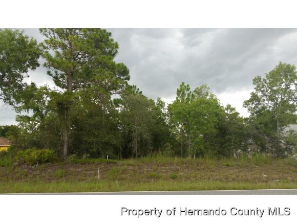 0 NIGHTWALKER RD, Brooksville, FL 34613