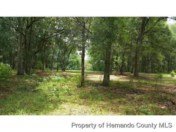 0 Wilhelm Rd, Brooksville, FL 34613