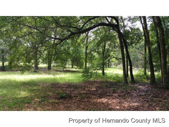 0 Wilhelm Rd, Brooksville, FL 34613