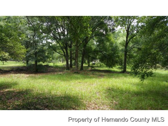 0 Wilhelm Rd, Brooksville, FL 34613