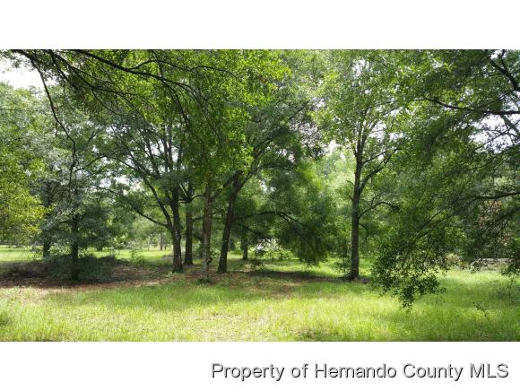 0 Wilhelm Rd, Brooksville, FL 34613