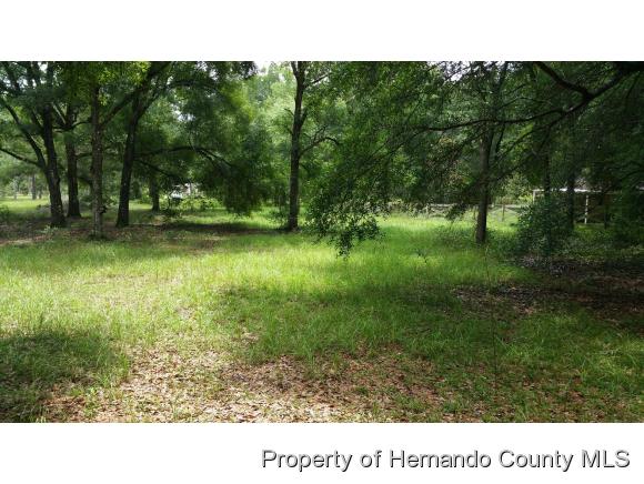 0 Wilhelm Rd, Brooksville, FL 34613