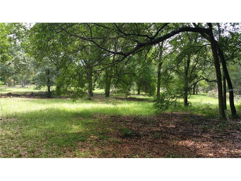 0 WILHELM ROAD, Brooksville, FL 34613