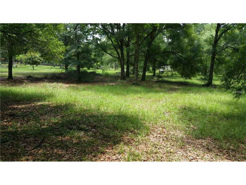 0 WILHELM ROAD, Brooksville, FL 34613