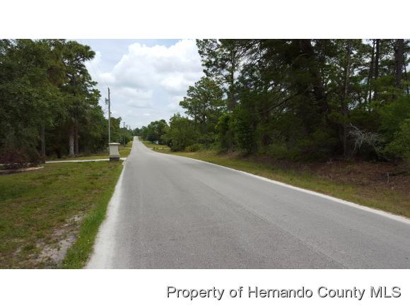 0 EGRET AVE, Weeki Wachee, FL 34613