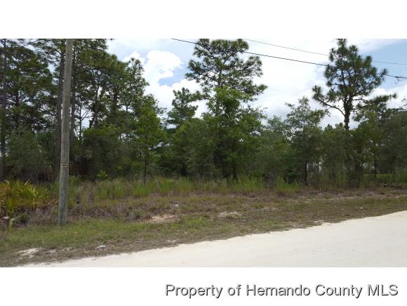 0 EGRET AVE, Weeki Wachee, FL 34613