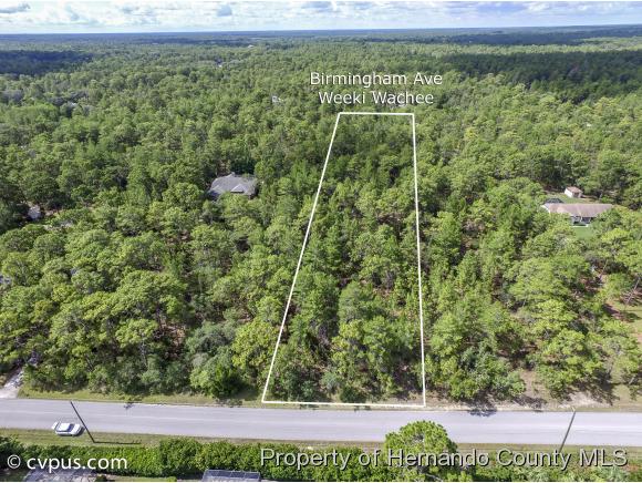 0 BIRMINGHAM AVE, Weeki Wachee, FL 34613