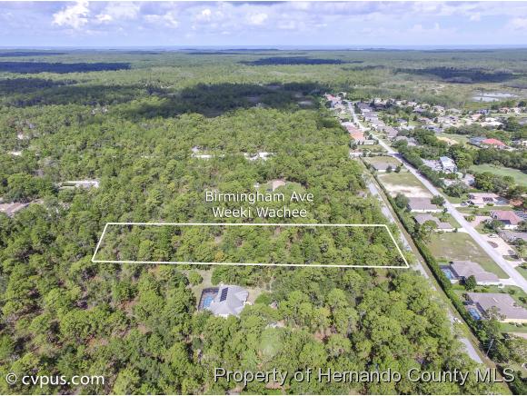 0 BIRMINGHAM AVE, Weeki Wachee, FL 34613