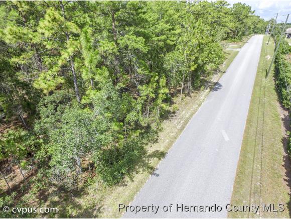 0 BIRMINGHAM AVE, Weeki Wachee, FL 34613