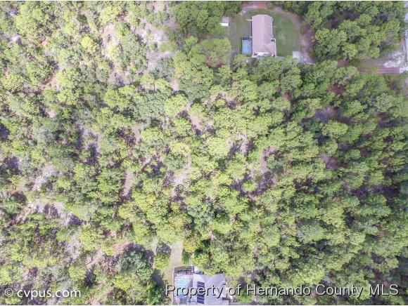 0 BIRMINGHAM AVE, Weeki Wachee, FL 34613