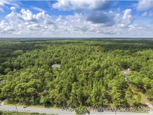 0 BIRMINGHAM AVE, Weeki Wachee, FL 34613