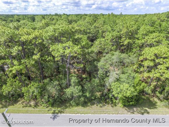 0 BIRMINGHAM AVE, Weeki Wachee, FL 34613