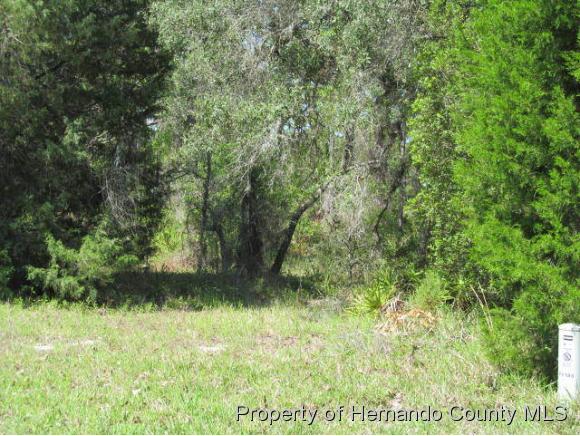 0 BUNTING, Weeki Wachee, FL 34613