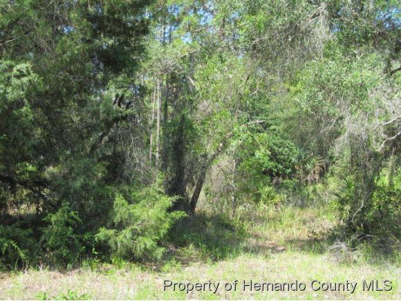 0 BUNTING, Weeki Wachee, FL 34613