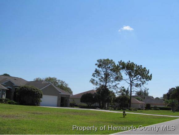 0 BUNTING, Weeki Wachee, FL 34613