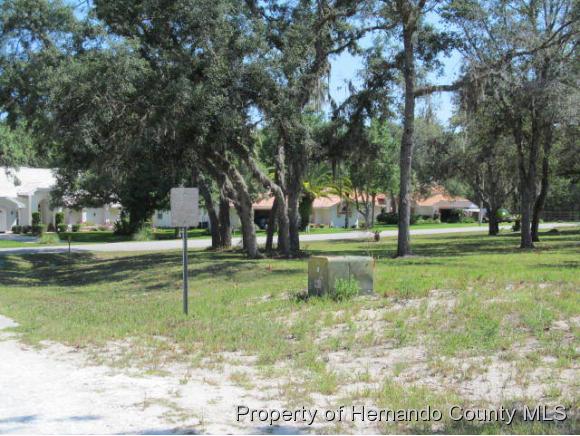 0 BUNTING, Weeki Wachee, FL 34613