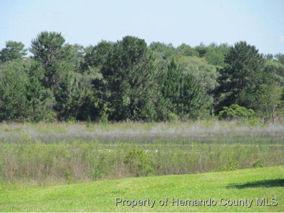 0 BUNTING, Weeki Wachee, FL 34613