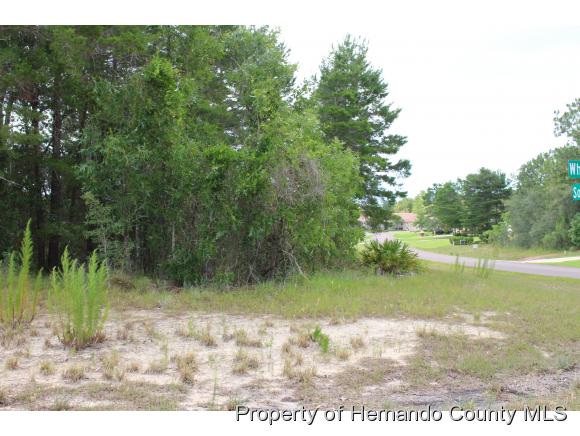 10235 WHISPER RIDGE TRL, Weeki Wachee, FL 34613