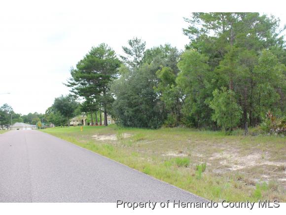 10235 WHISPER RIDGE TRL, Weeki Wachee, FL 34613