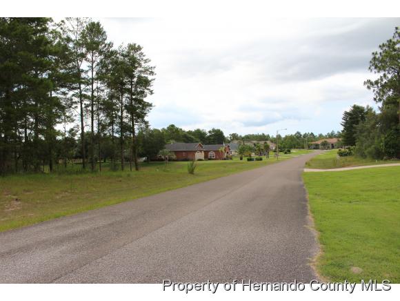 10235 WHISPER RIDGE TRL, Weeki Wachee, FL 34613