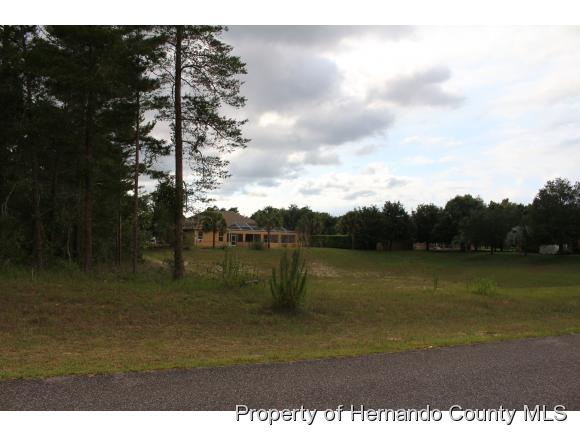 10235 WHISPER RIDGE TRL, Weeki Wachee, FL 34613