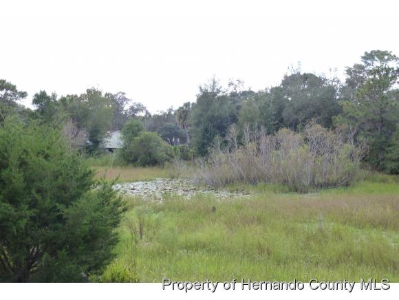 8037 FOLKSTONE ST, Weeki Wachee, FL 34613
