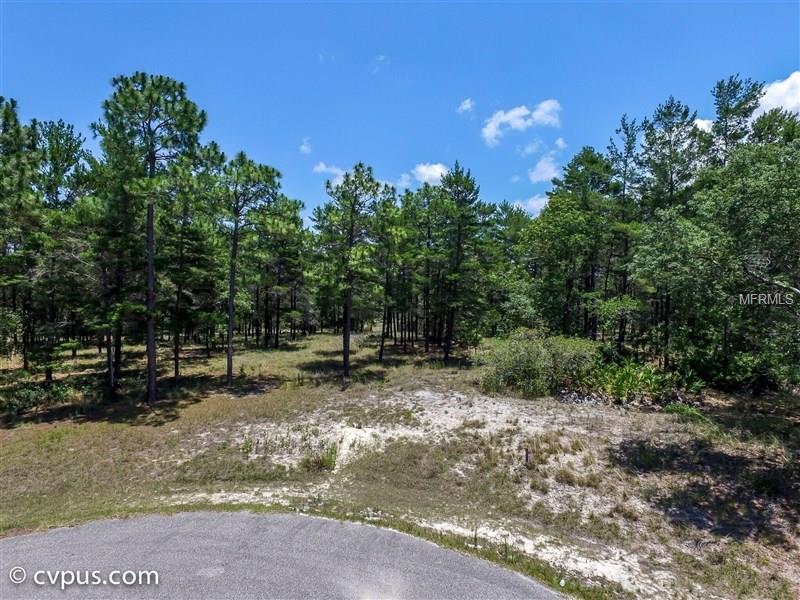 SHORTLEAF COURT, Weeki Wachee, FL 34613