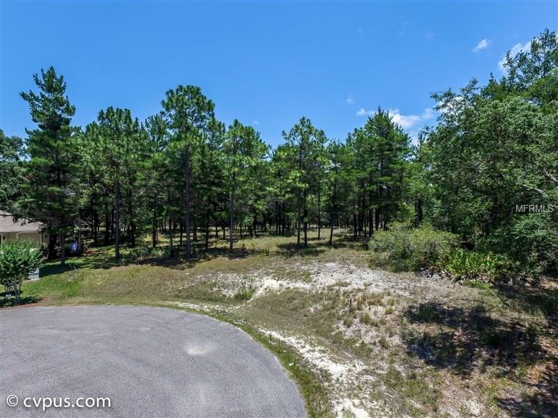 SHORTLEAF COURT, Weeki Wachee, FL 34613
