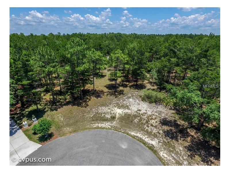 SHORTLEAF COURT, Weeki Wachee, FL 34613