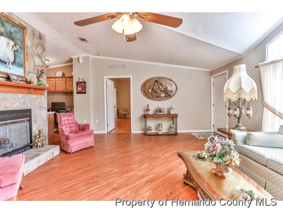 9223 BASIL ST, Brooksville, FL 34613