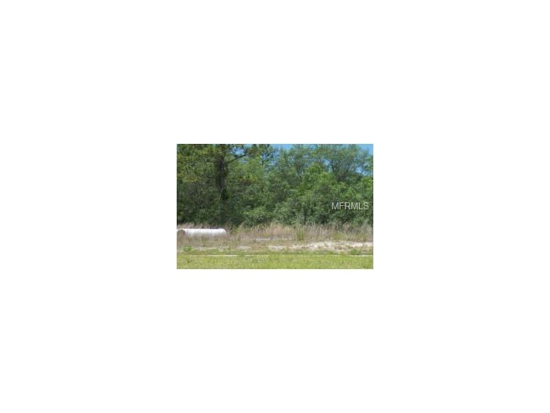 0 COMMERCIAL WAY, Weeki Wachee, FL 34613
