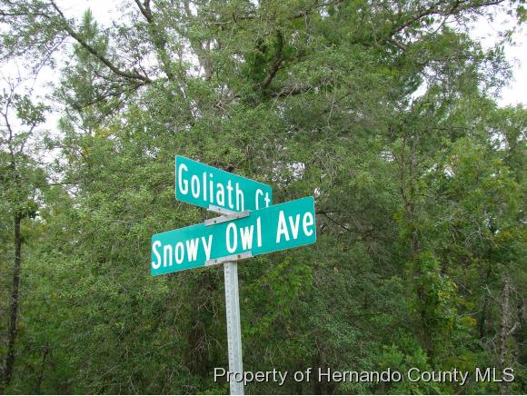 LOT35 GOLIATH CT, Brooksville, FL 34614