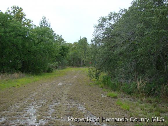 LOT35 GOLIATH CT, Brooksville, FL 34614