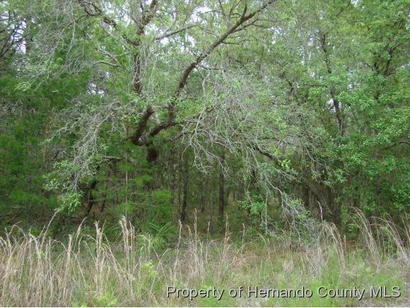 LOT35 GOLIATH CT, Brooksville, FL 34614