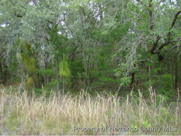 LOT35 GOLIATH CT, Brooksville, FL 34614
