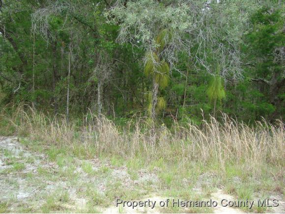 LOT35 GOLIATH CT, Brooksville, FL 34614