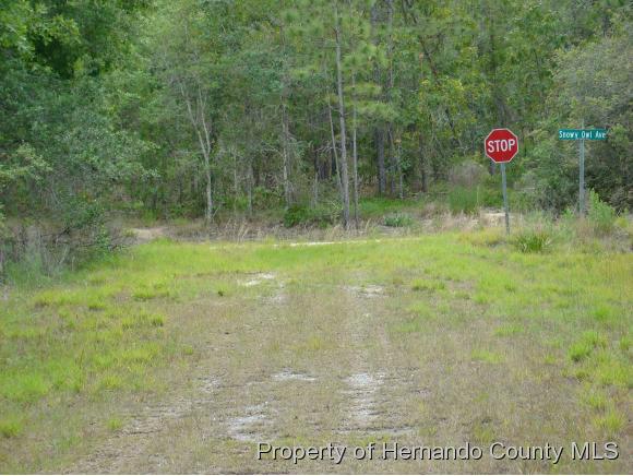 LOT35 GOLIATH CT, Brooksville, FL 34614