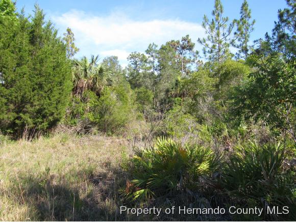 000 ZEBRAFINCH AVE, Weeki Wachee, FL 34614