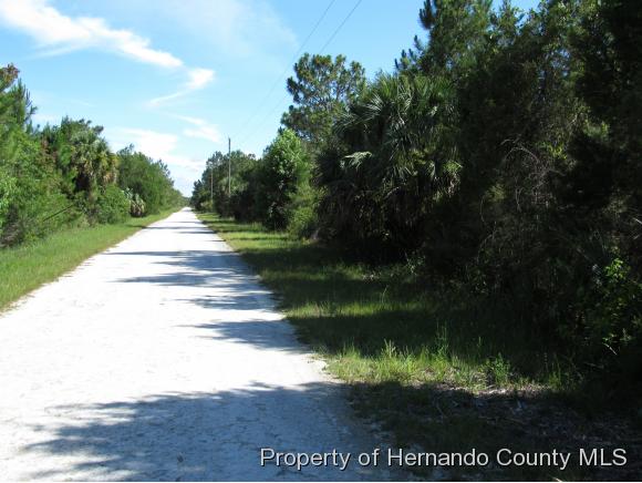 000 ZEBRAFINCH AVE, Weeki Wachee, FL 34614