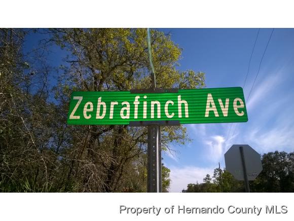 000 ZEBRAFINCH AVE, Weeki Wachee, FL 34614