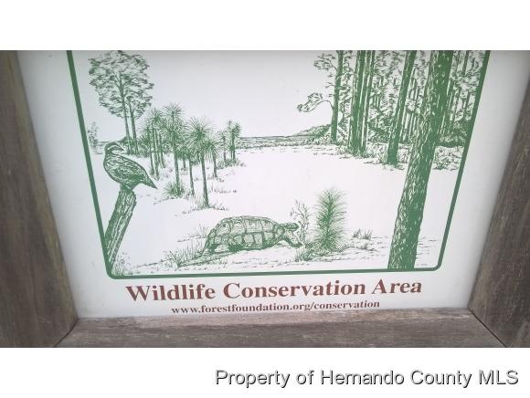 000 ZEBRAFINCH AVE, Weeki Wachee, FL 34614