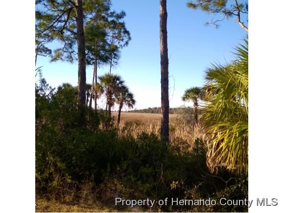 000 ZEBRAFINCH AVE, Weeki Wachee, FL 34614