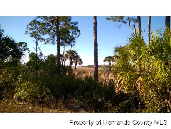 000 ZEBRAFINCH AVE, Weeki Wachee, FL 34614