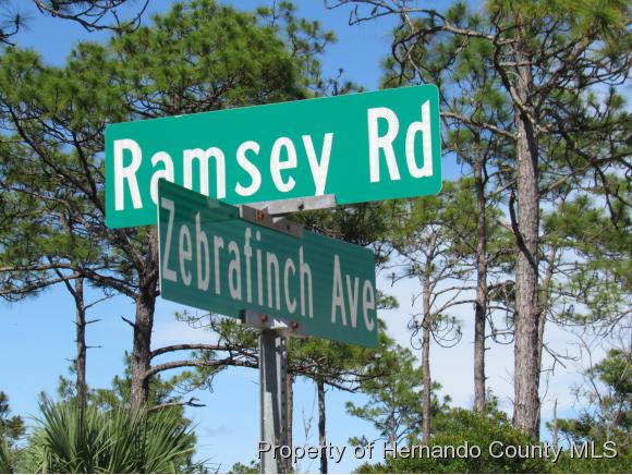 00 RAMSEY RD, Weeki Wachee, FL 34614